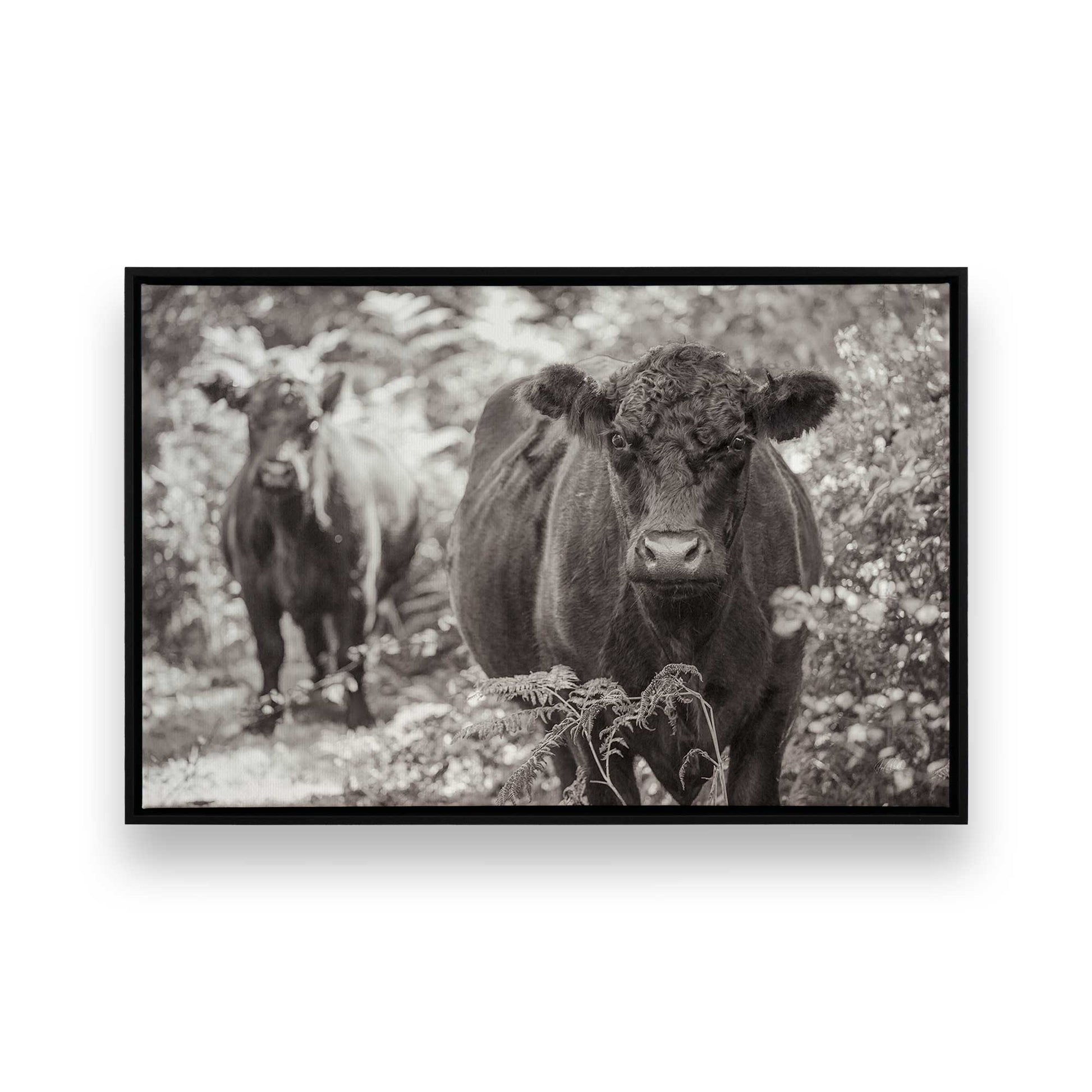 [Color:Satin Black], Front of the art