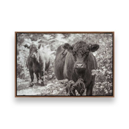 [Color:Walnut], Picture of art in a Walnut frame