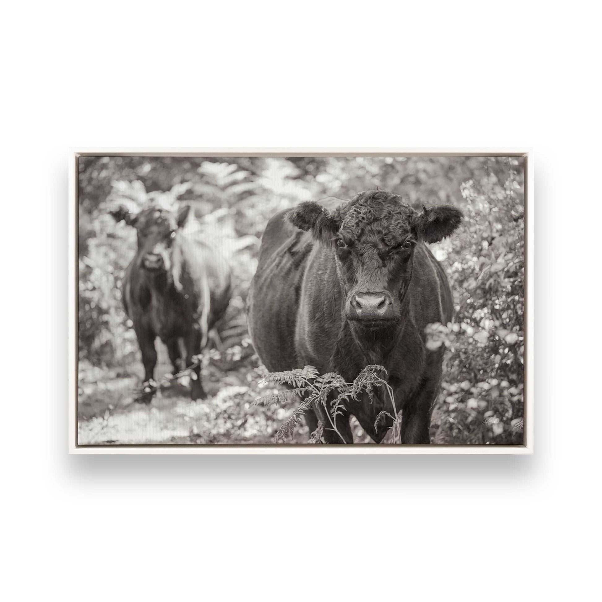 [Color:Opaque White], Picture of art in a White frame