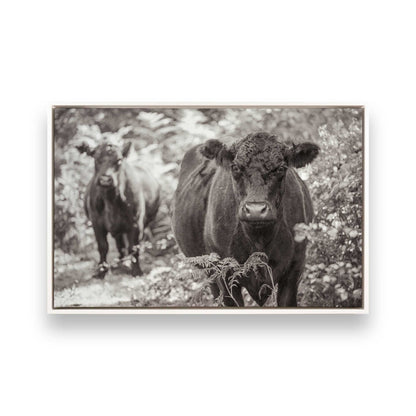 [Color:Opaque White], Picture of art in a White frame