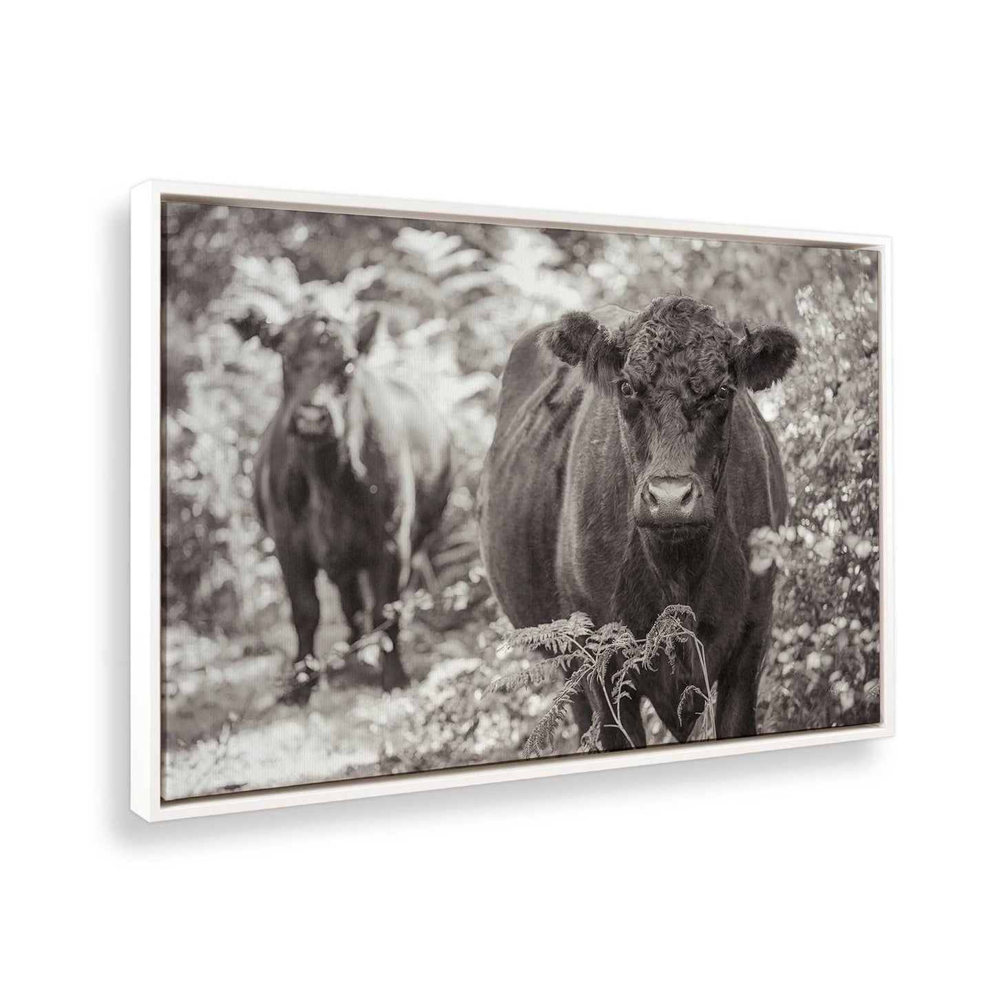 [Color:Opaque White], Picture of the corner of the art