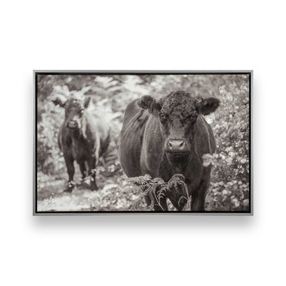 [Color:Polished Chrome], Picture of art in a Polished Chrome frame