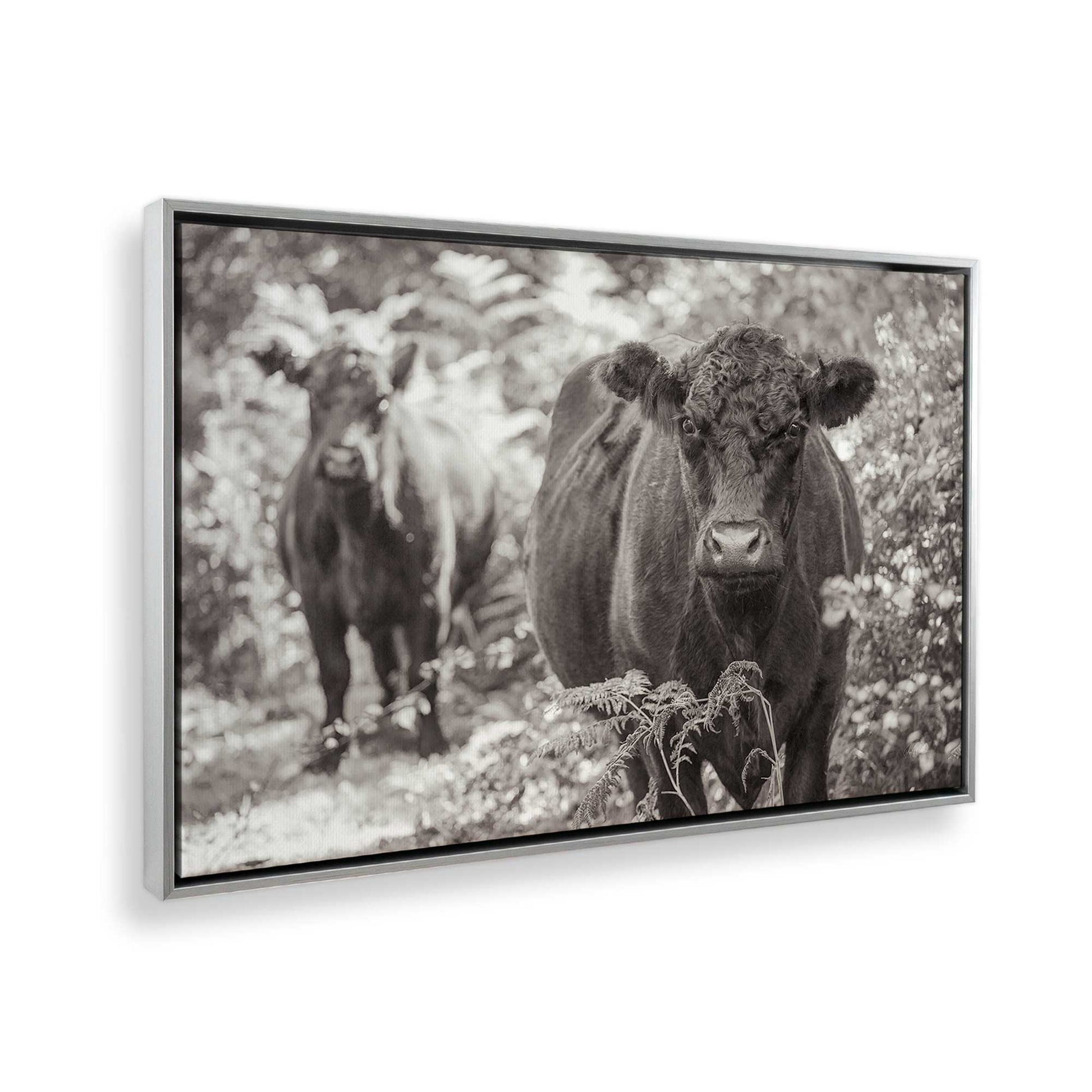 [Color:Polished Chrome], Picture of the corner of the art