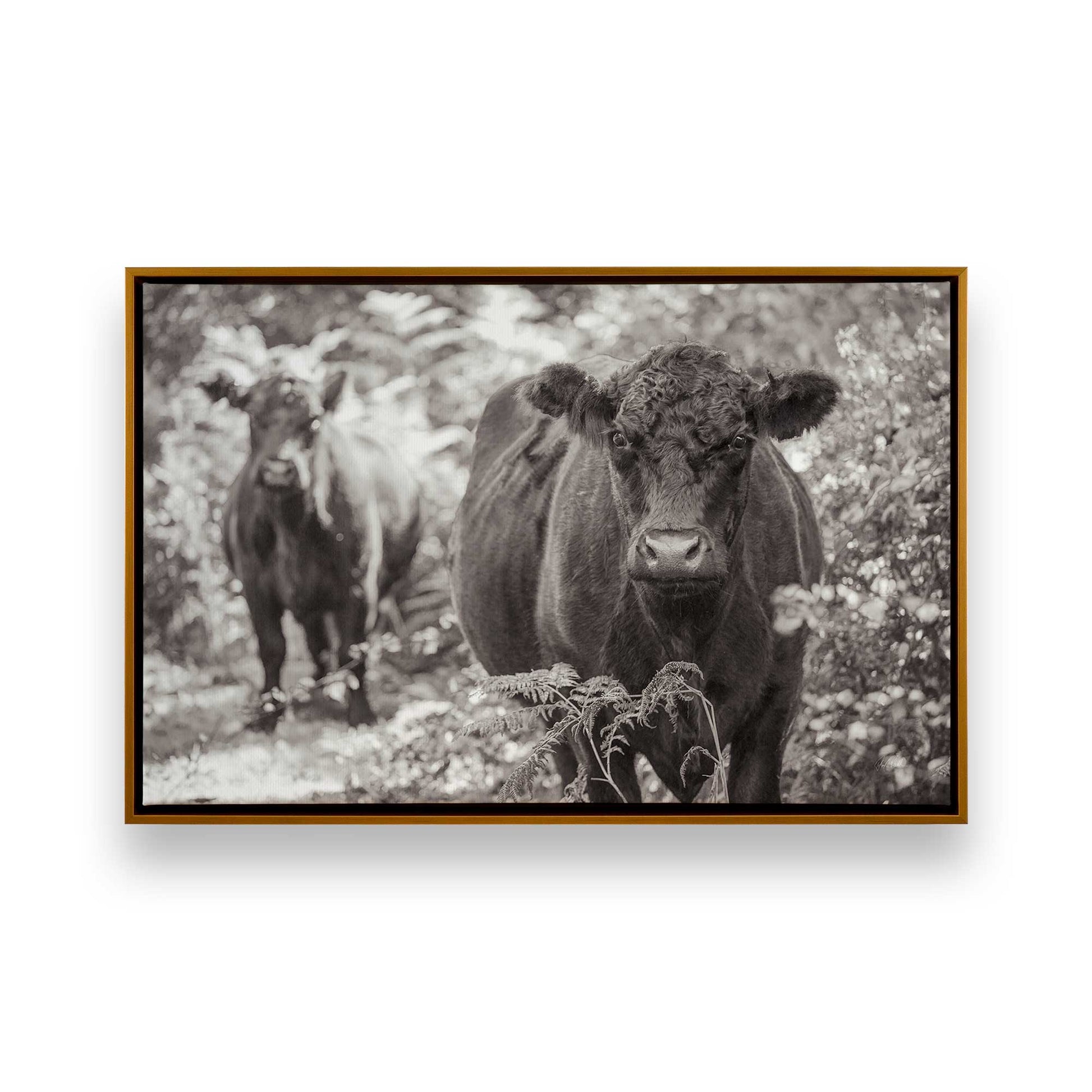 [Color:Polished Gold], Picture of art in a Polished Gold frame