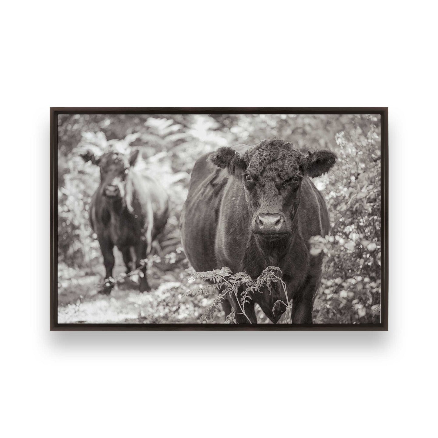 [Color:Espresso], Picture of art in a Espresso frame