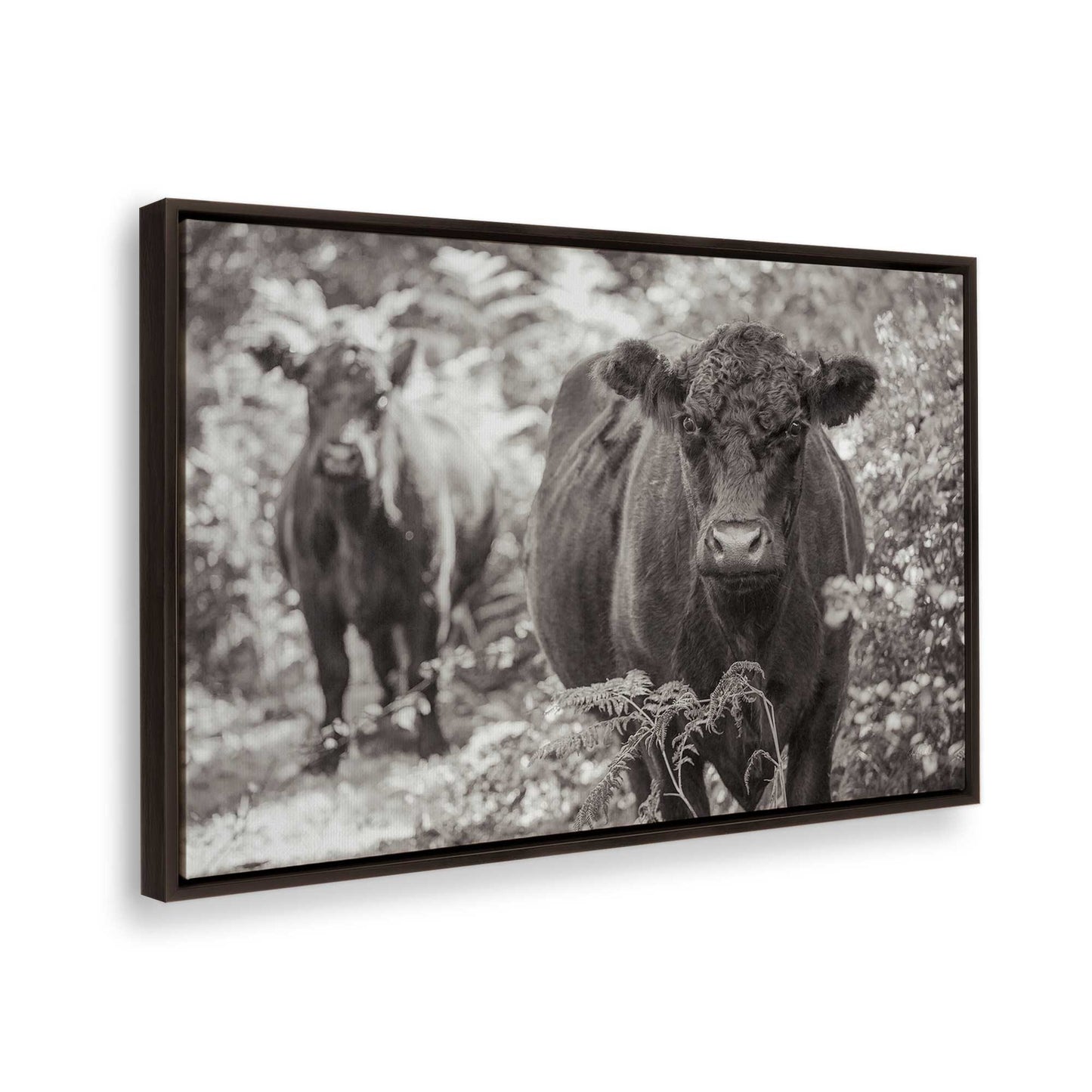 [Color:Espresso], Picture of the corner of the art