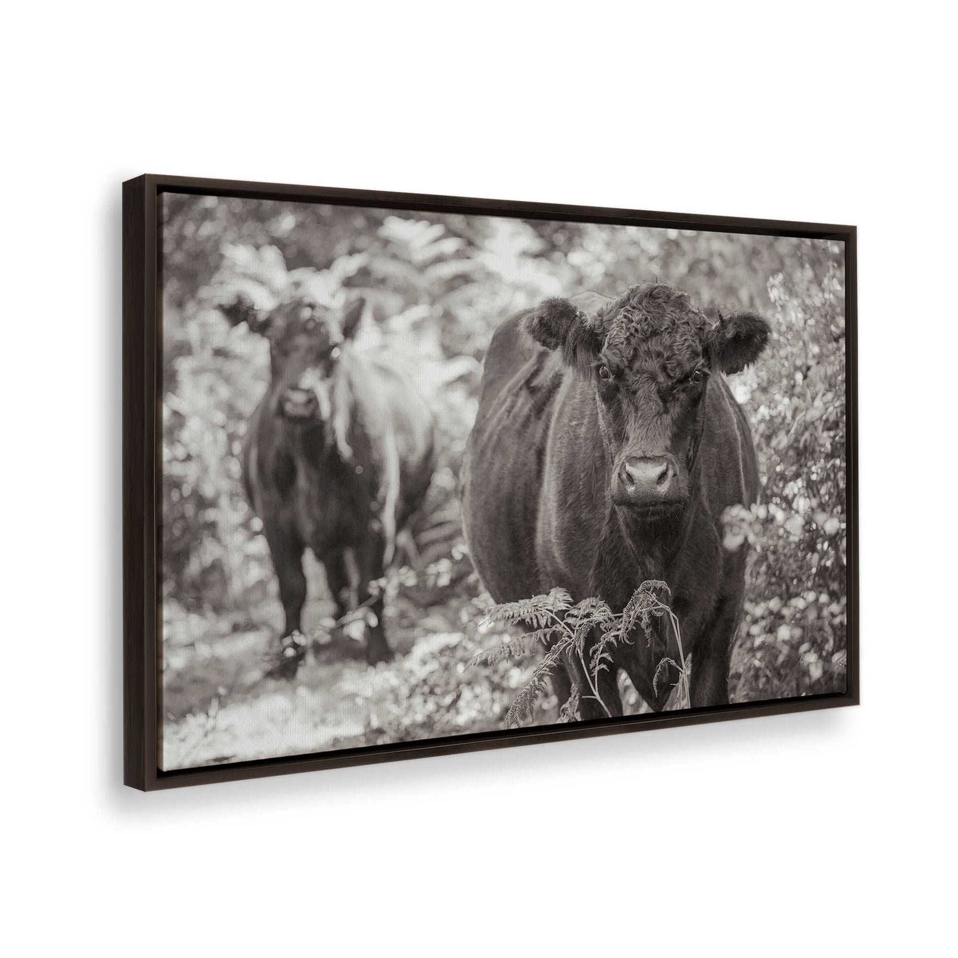 [Color:Espresso], Picture of the corner of the art