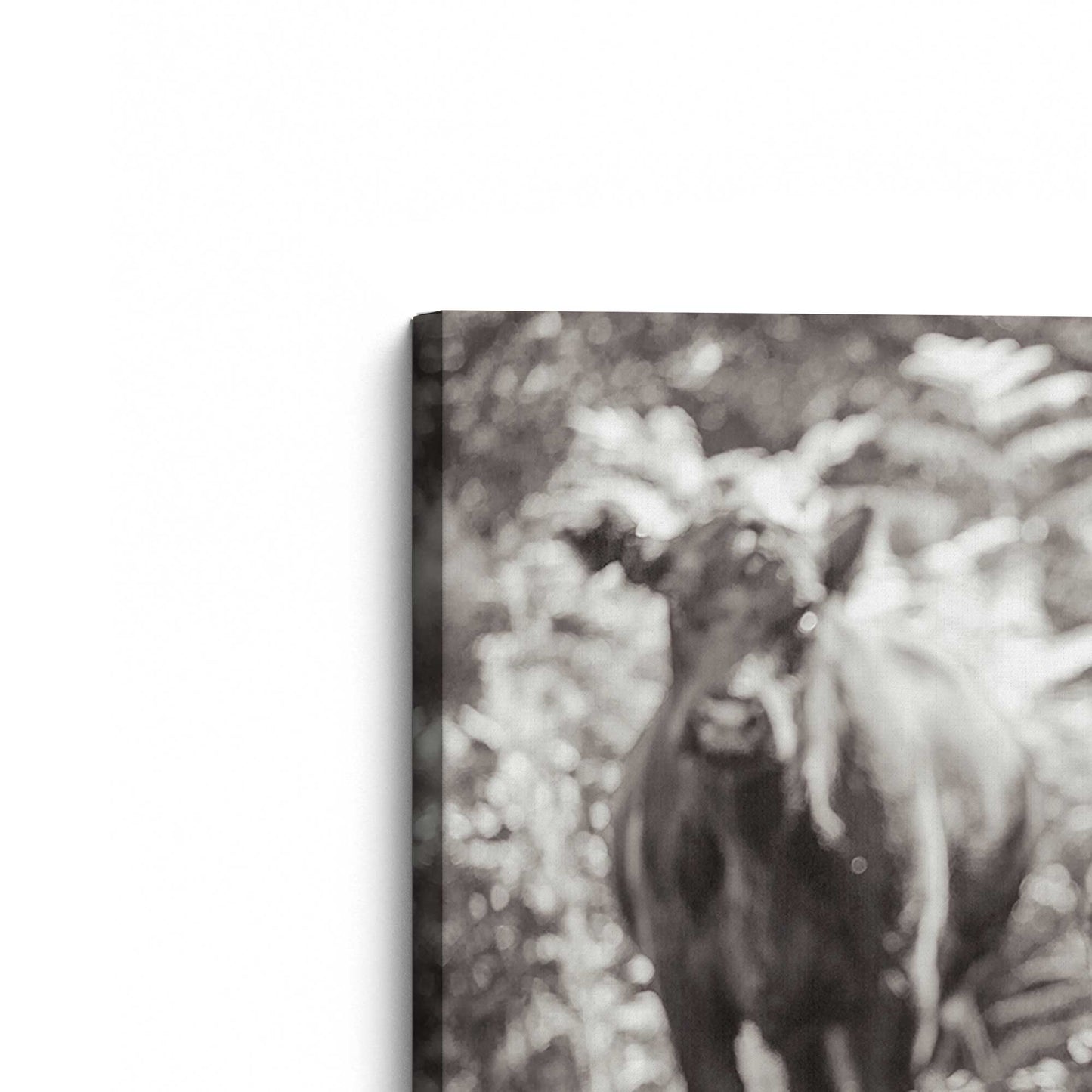 [Color:Stretched Canvas], Picture of the corner of the art