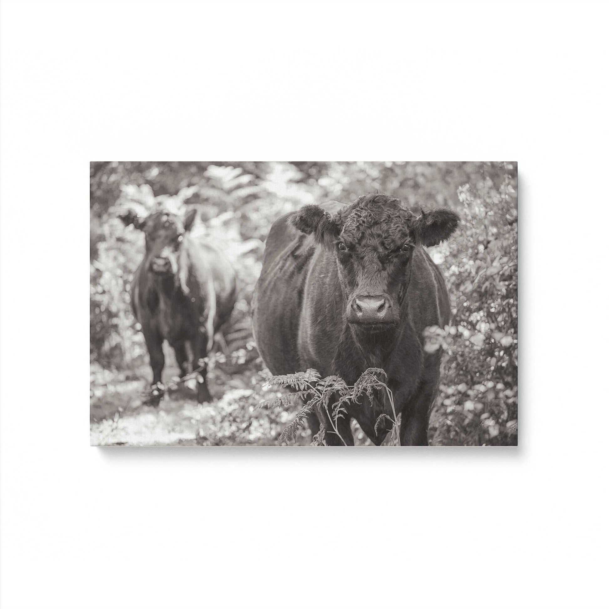 [Color:Stretched Canvas], Picture of art