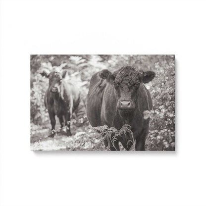 [Color:Stretched Canvas], Picture of art