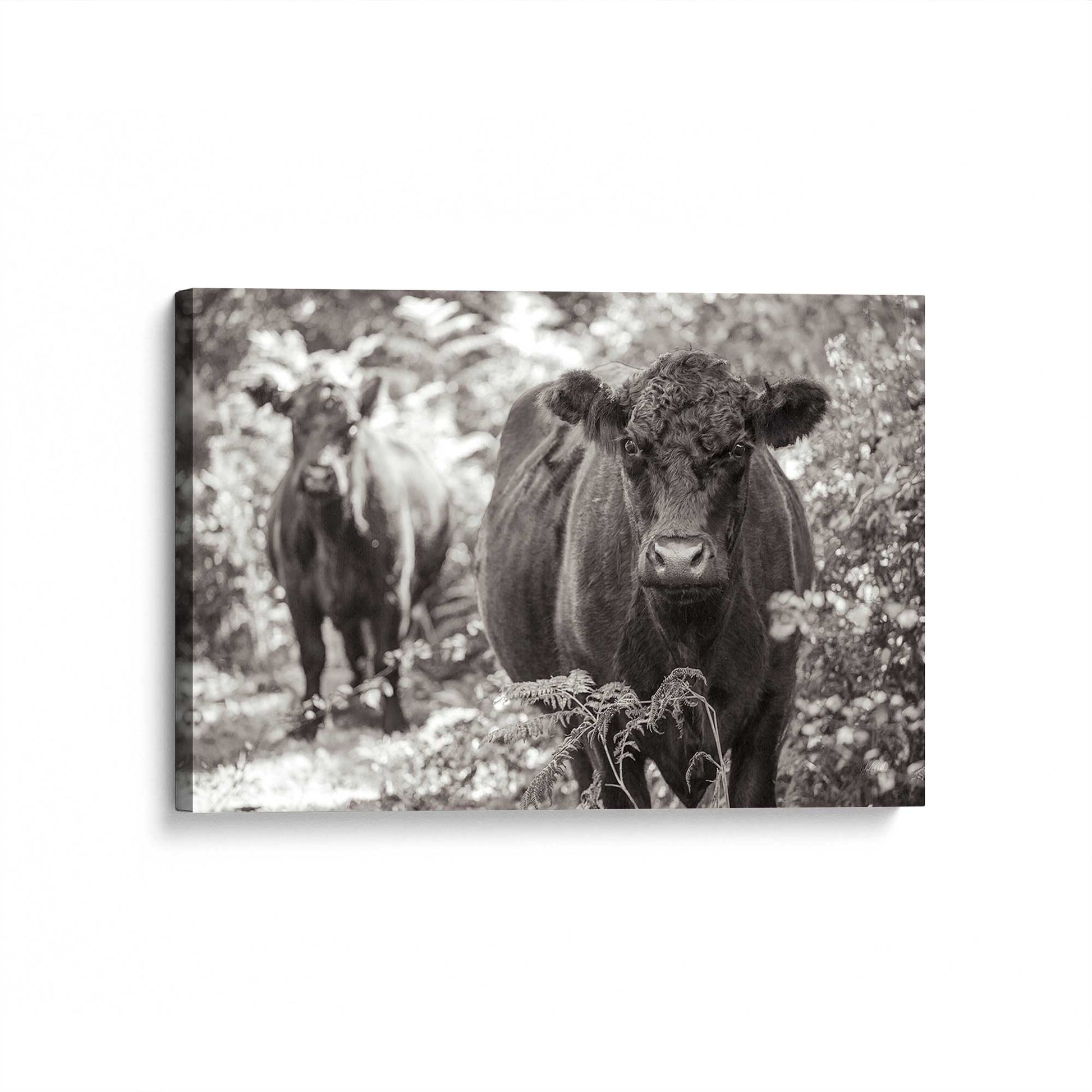 [Color:Stretched Canvas], Picture of art at an angle