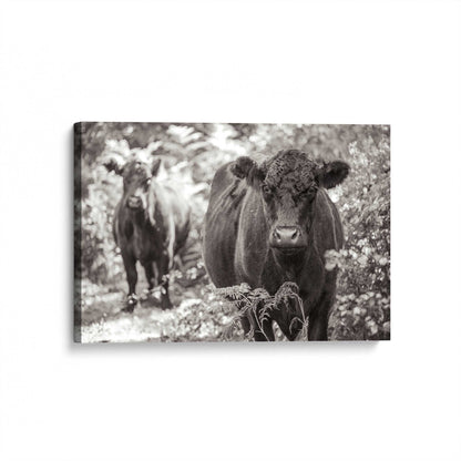 [Color:Stretched Canvas], Picture of art at an angle