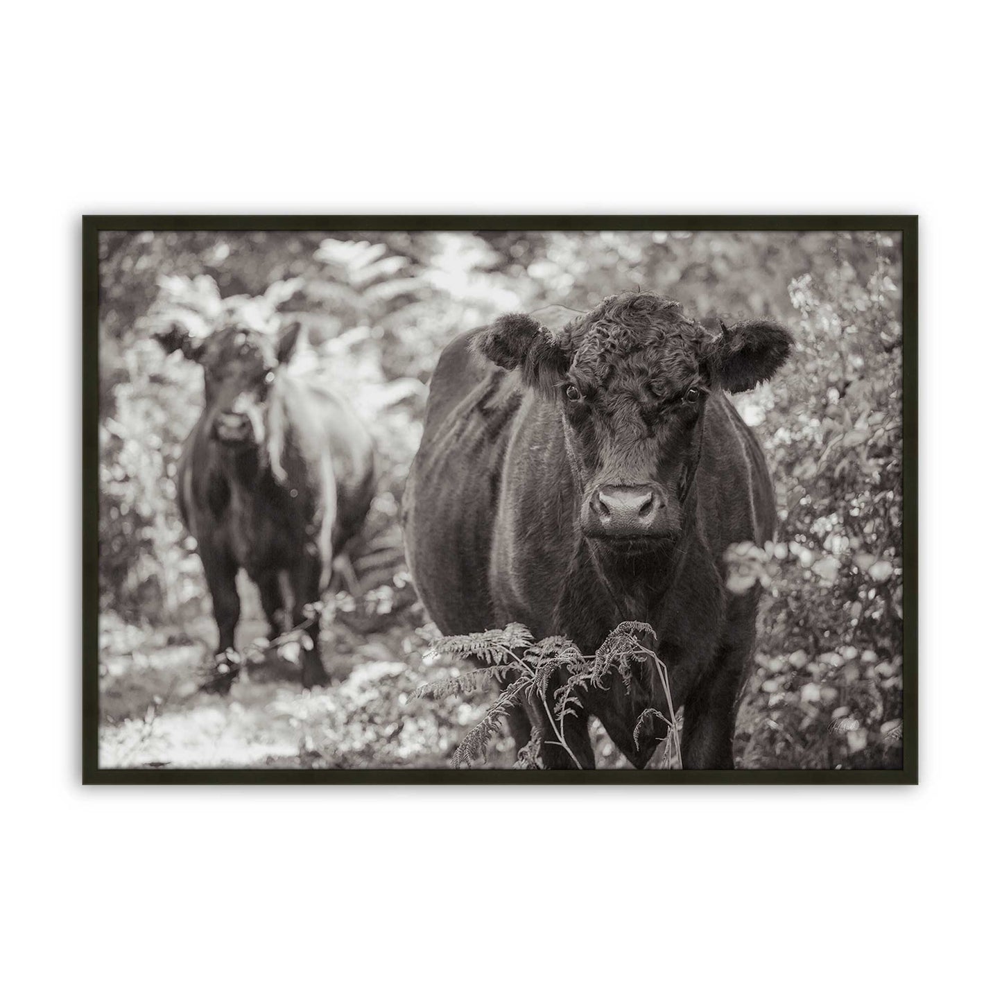 [Color:Satin Black], Picture of art in a Satin Black frame