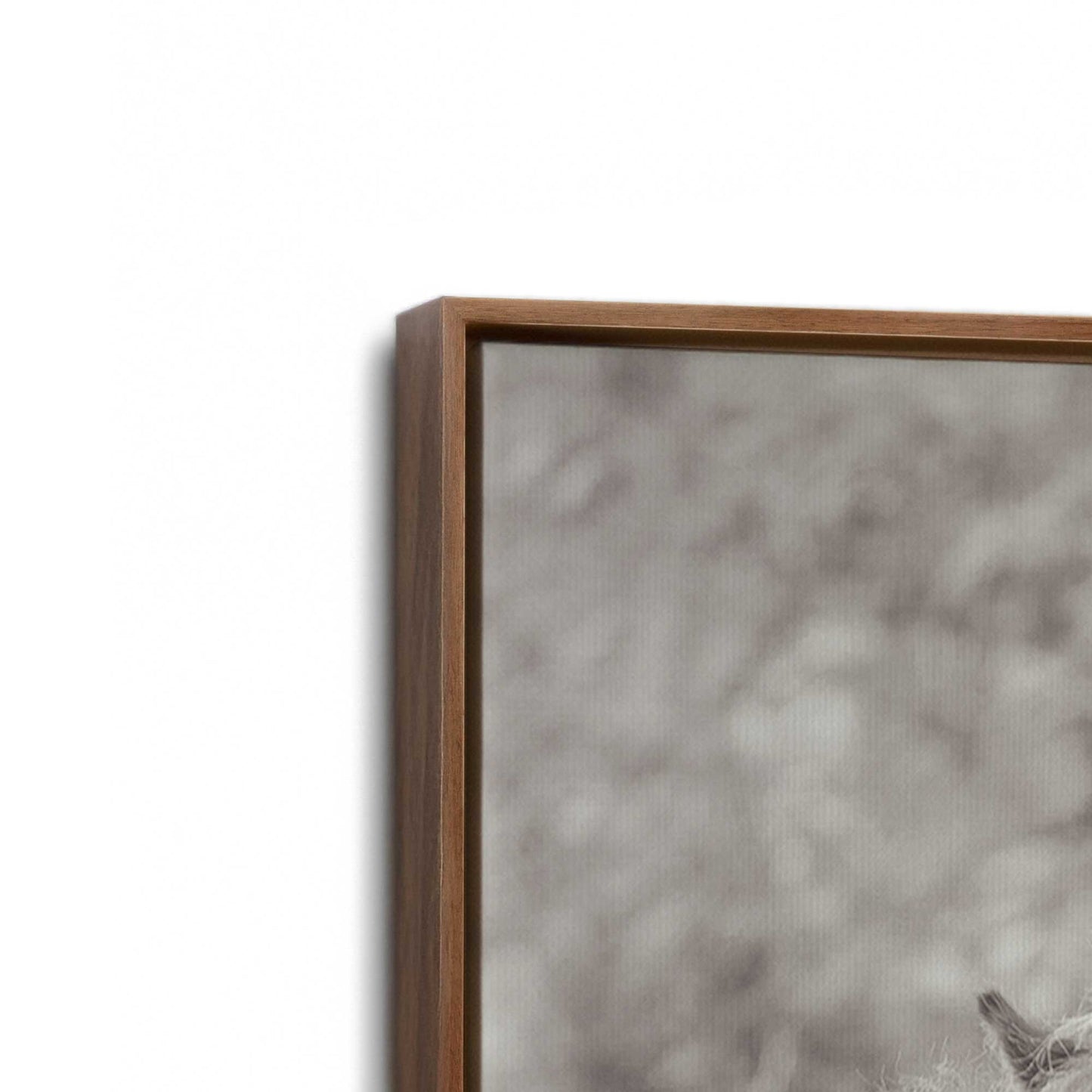[Color:Walnut], Picture of art in a Walnut frame at an angle