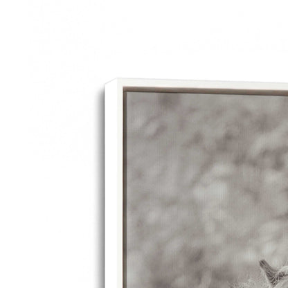 [Color:Opaque White], Picture of art in a White frame at an angle