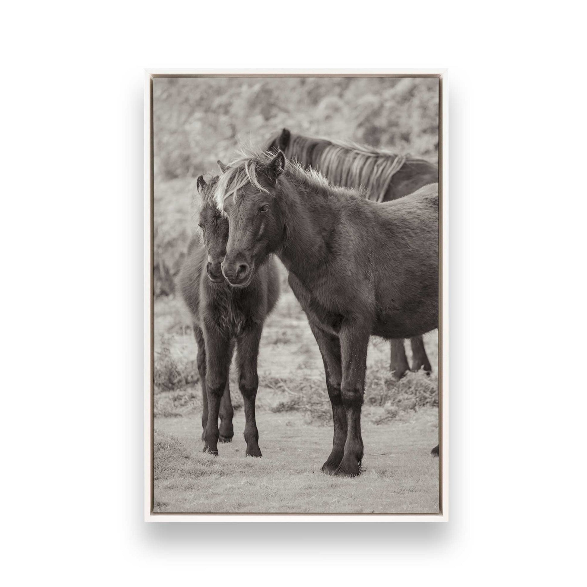 [Color:Opaque White], Picture of art in a White frame