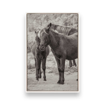 [Color:Opaque White], Picture of art in a White frame