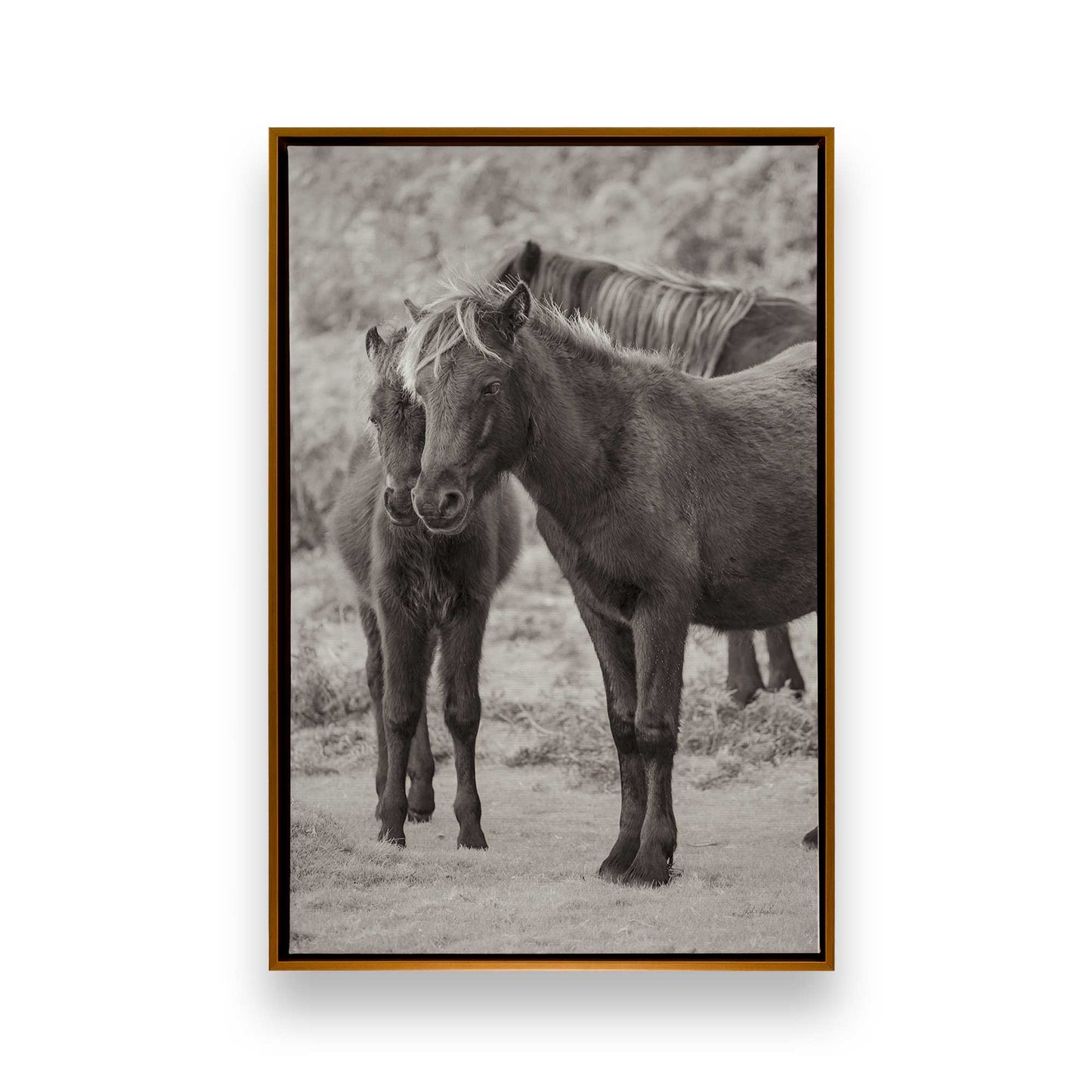 [Color:Polished Gold], Picture of art in a Polished Gold frame