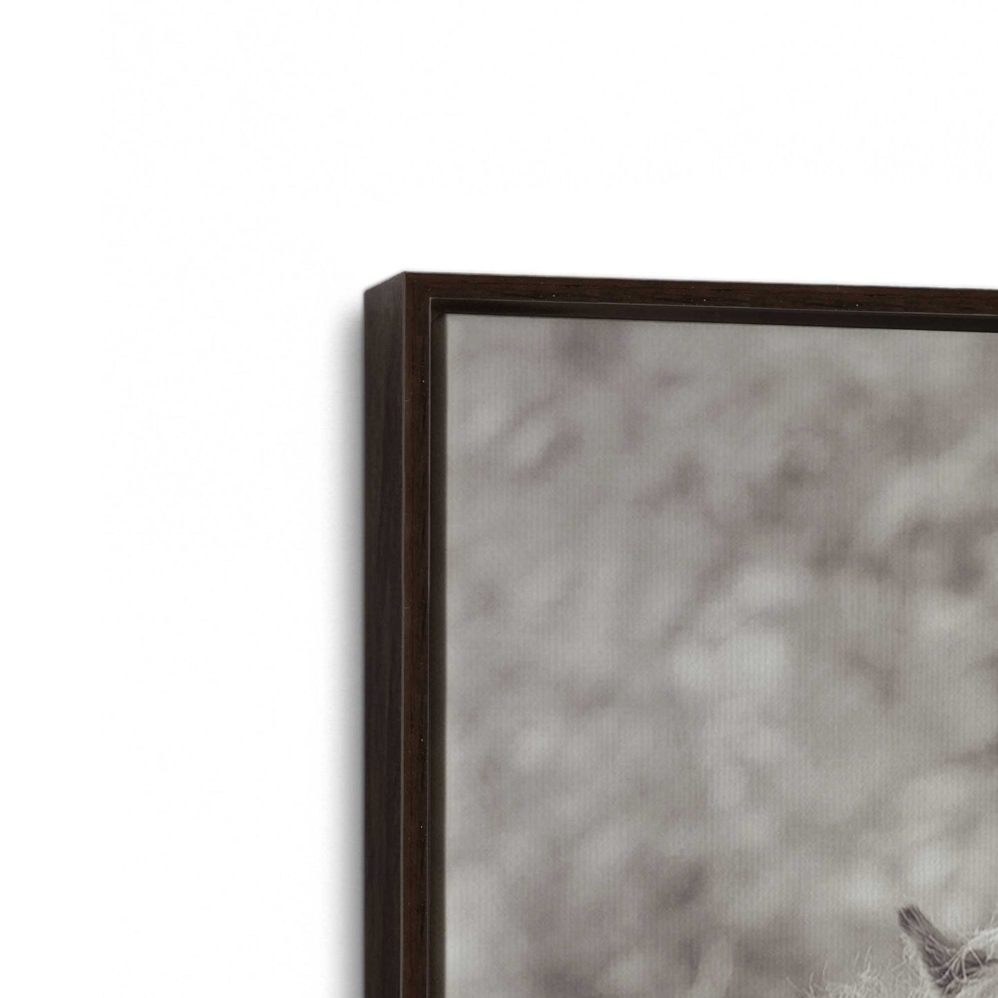 [Color:Espresso], Picture of art in a Espresso frame at an angle