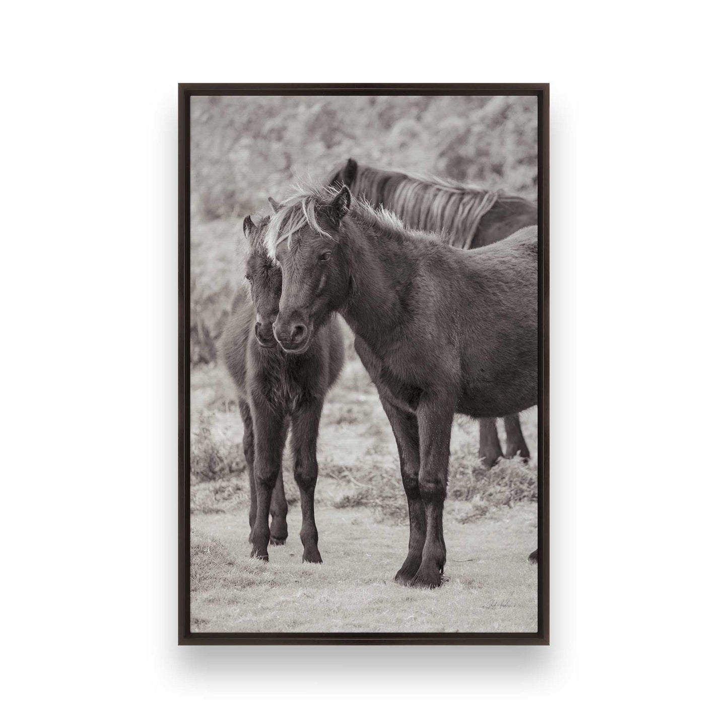 [Color:Espresso], Picture of art in a Espresso frame