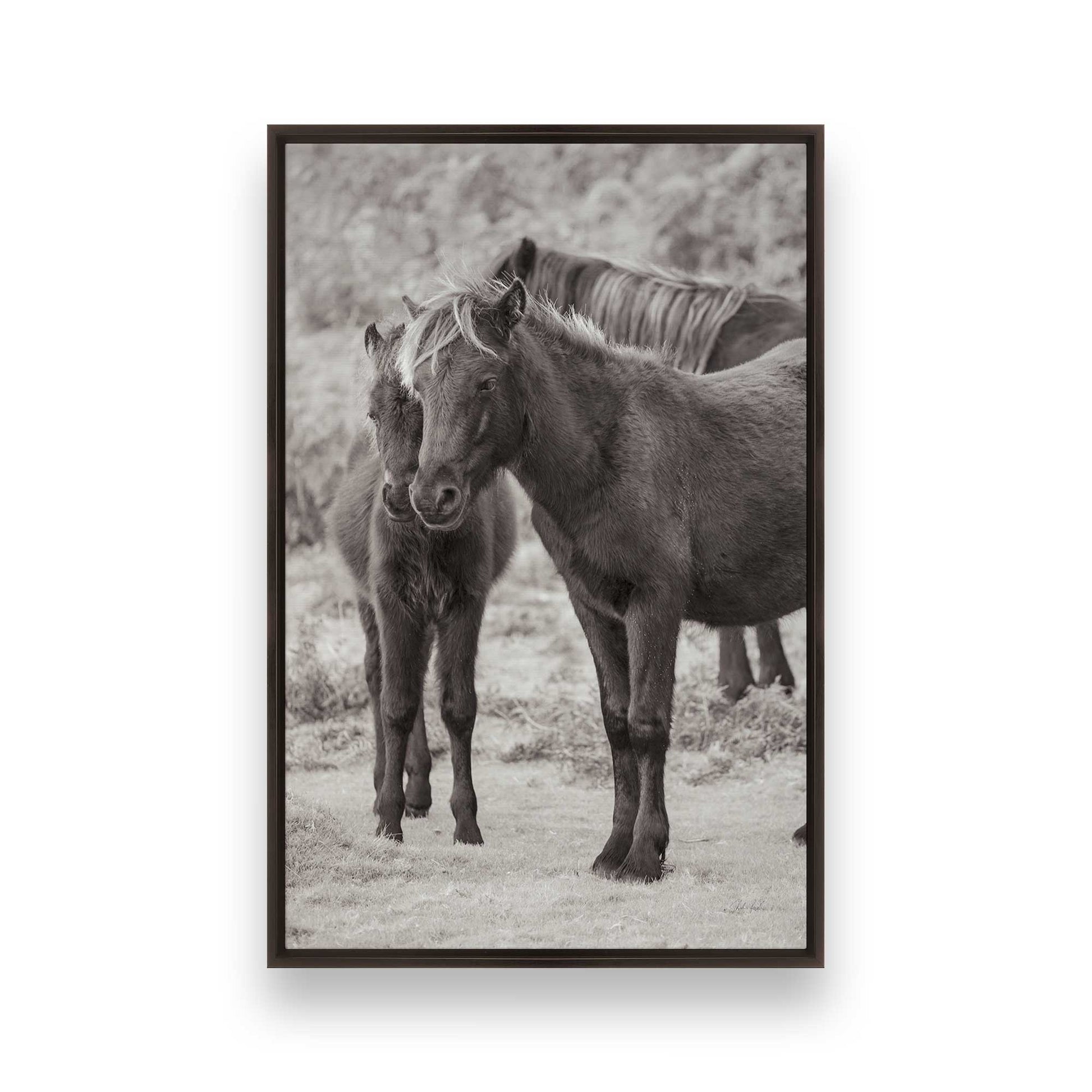 [Color:Espresso], Picture of art in a Espresso frame