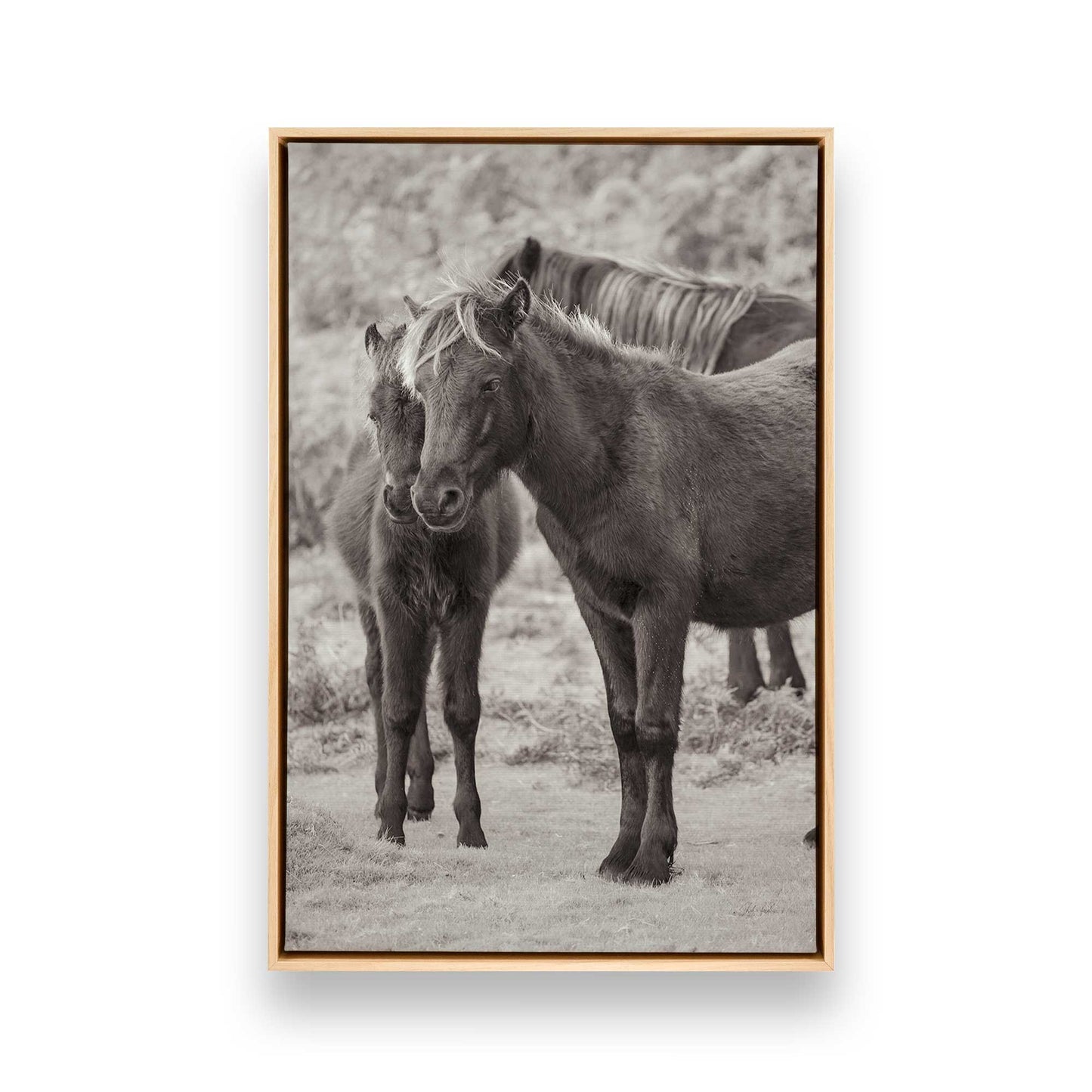 [Color:American Maple], Picture of art in a American Maple frame