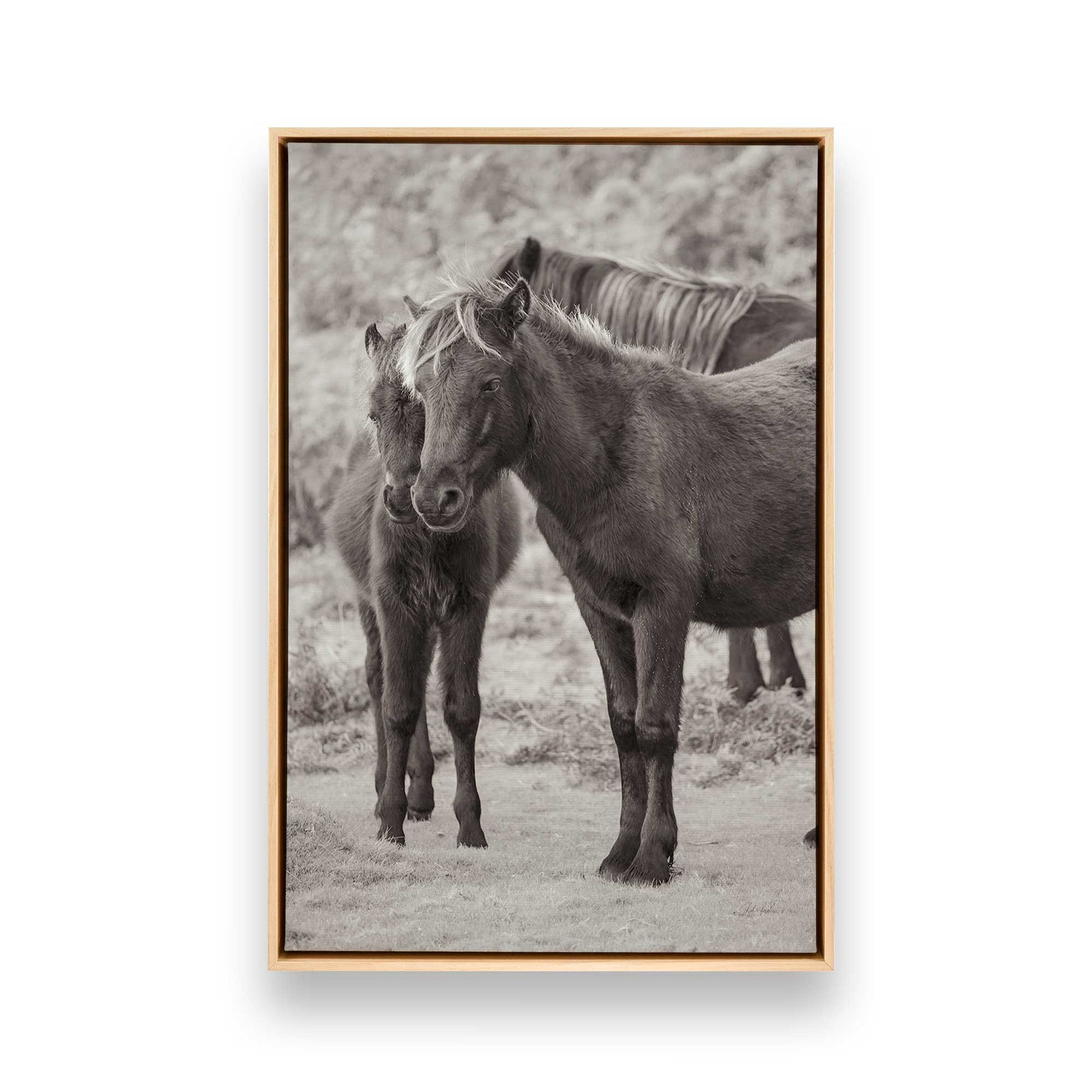 [Color:American Maple], Picture of art in a American Maple frame