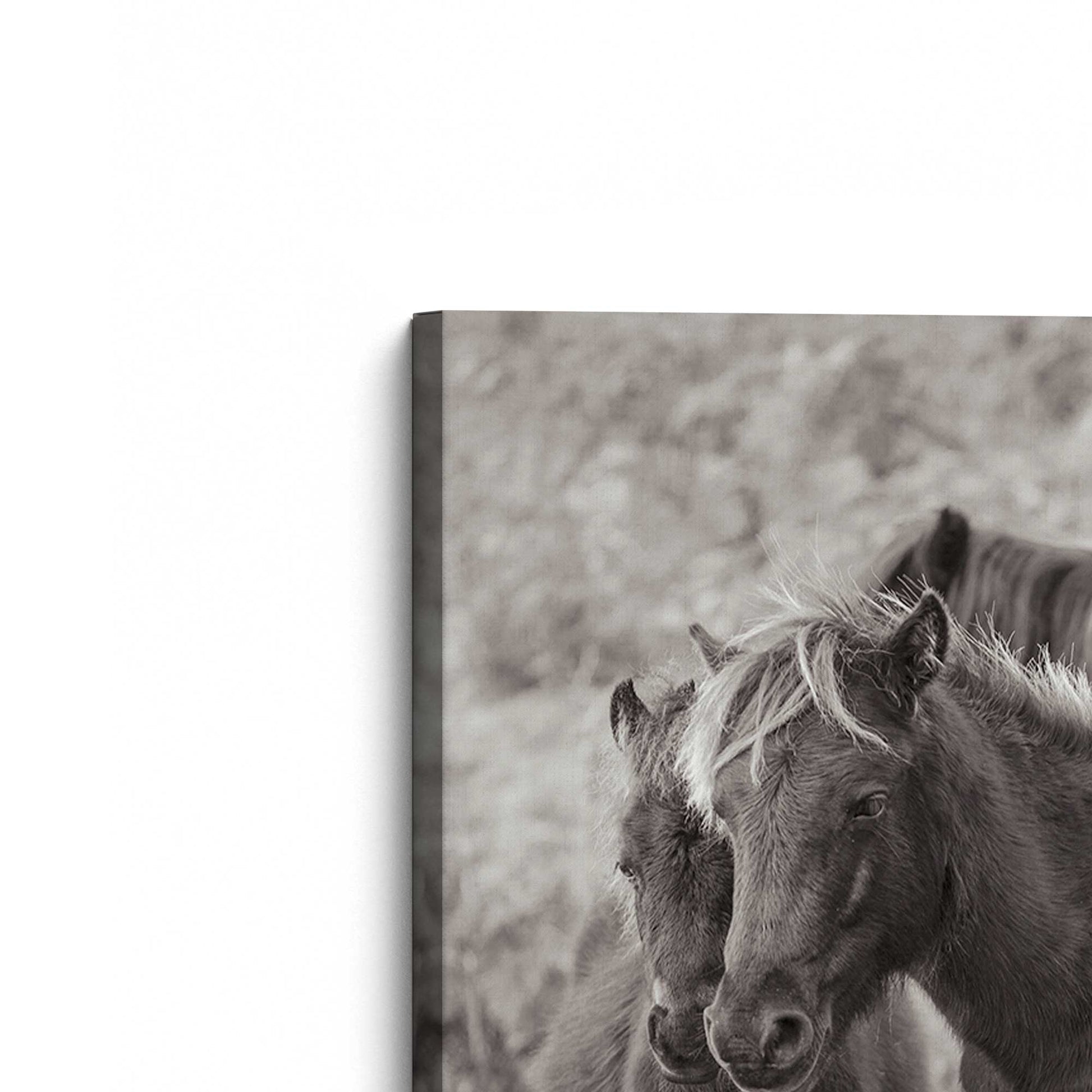 [Color:Stretched Canvas], Picture of the corner of the art