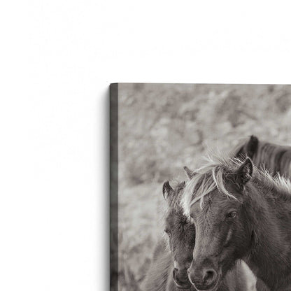 [Color:Stretched Canvas], Picture of the corner of the art