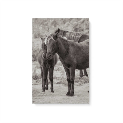 [Color:Stretched Canvas], Picture of art