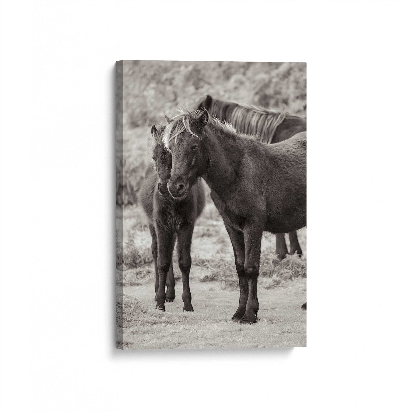 [Color:Stretched Canvas], Picture of art at an angle