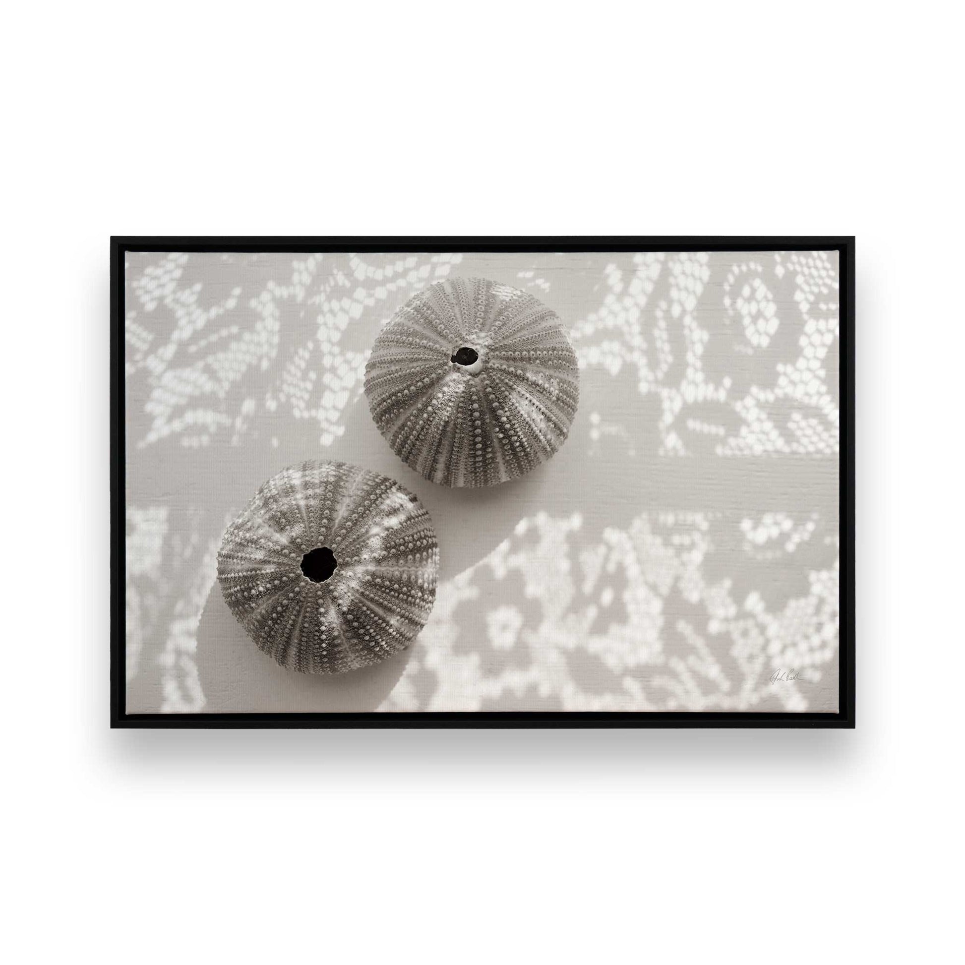 [Color:Satin Black], Picture of art in a Satin Black frame