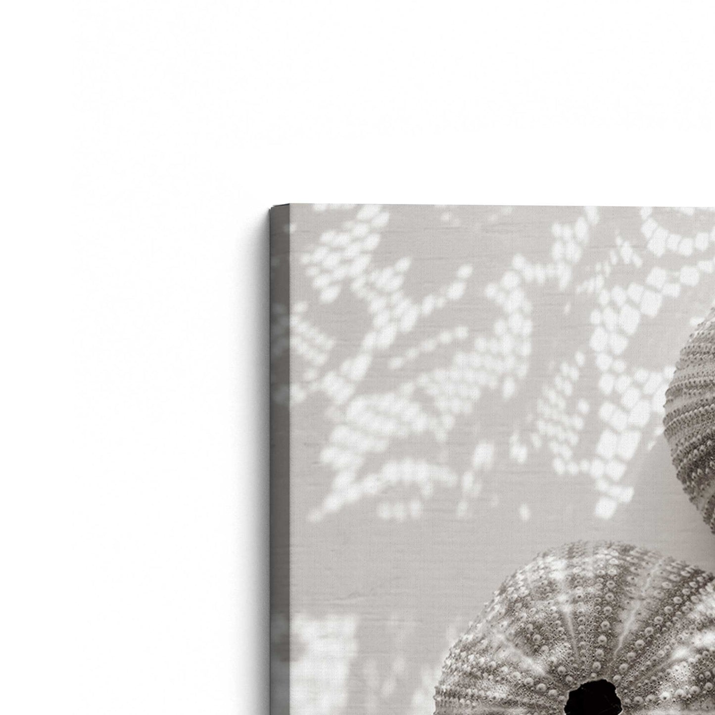 [Color:Stretched Canvas], Picture of the corner of the art