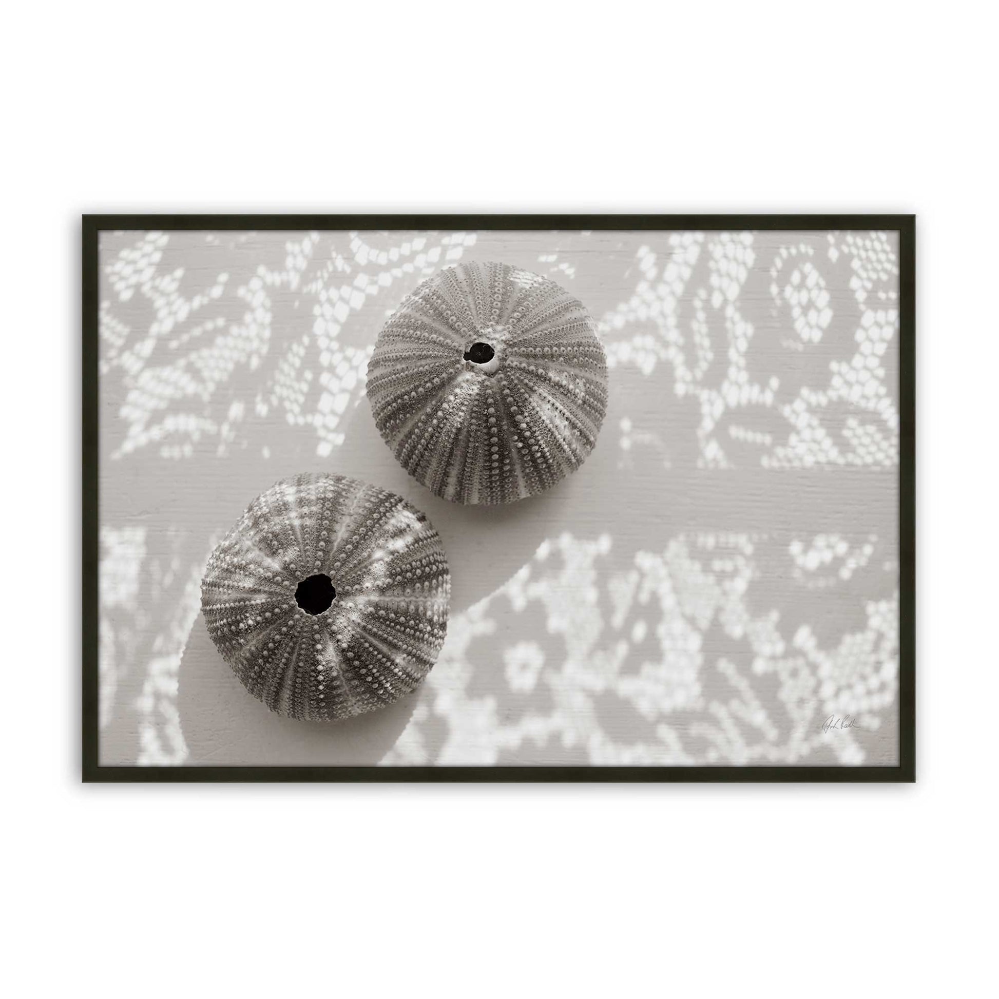 [Color:Satin Black], Front of the art