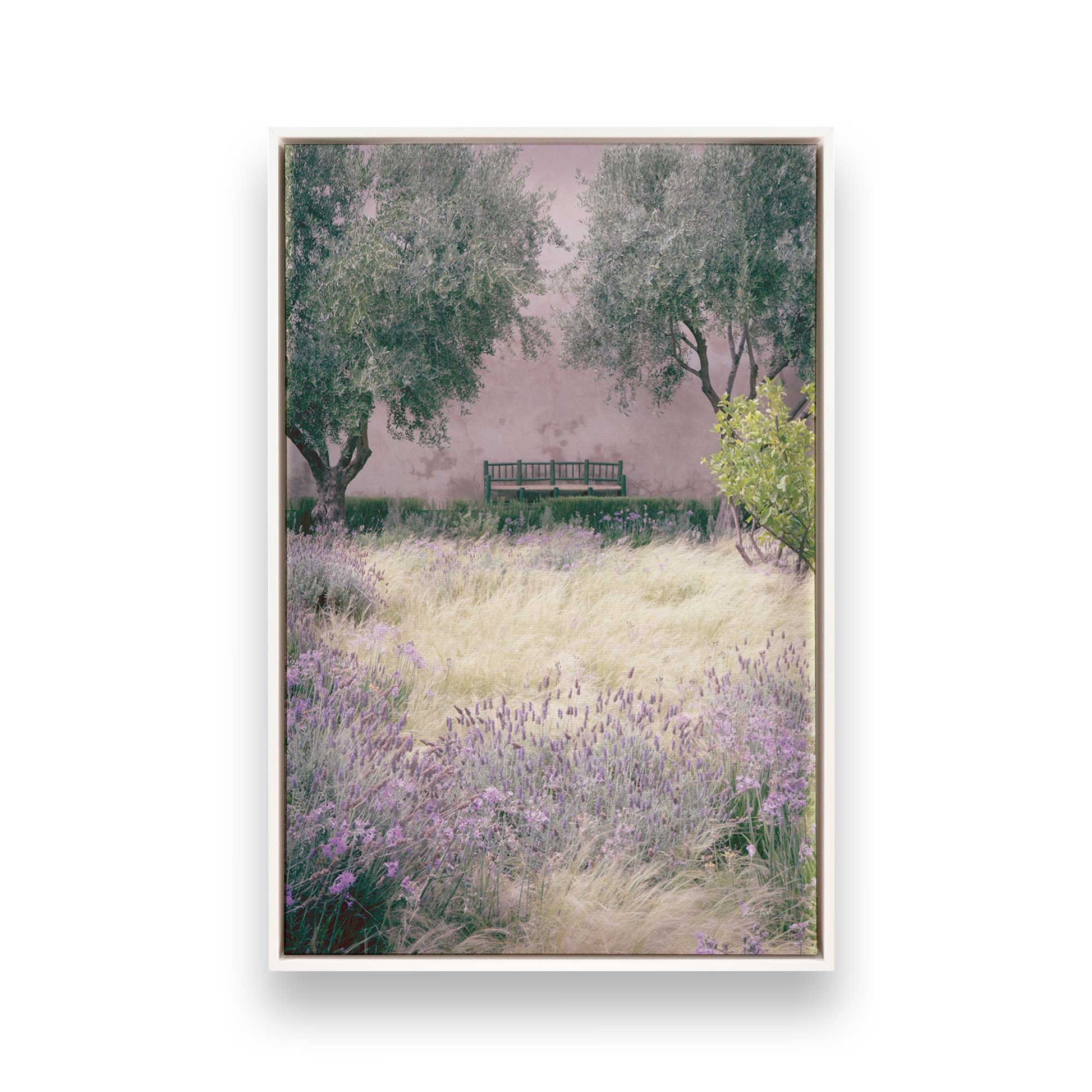 [Color:Opaque White], Picture of art in a White frame