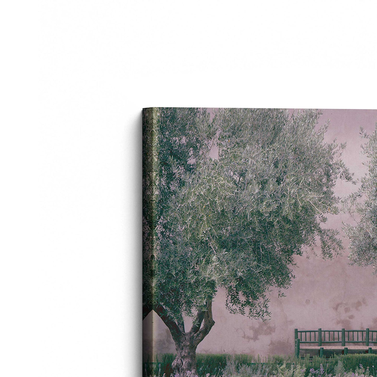 [Color:Stretched Canvas], Picture of the corner of the art