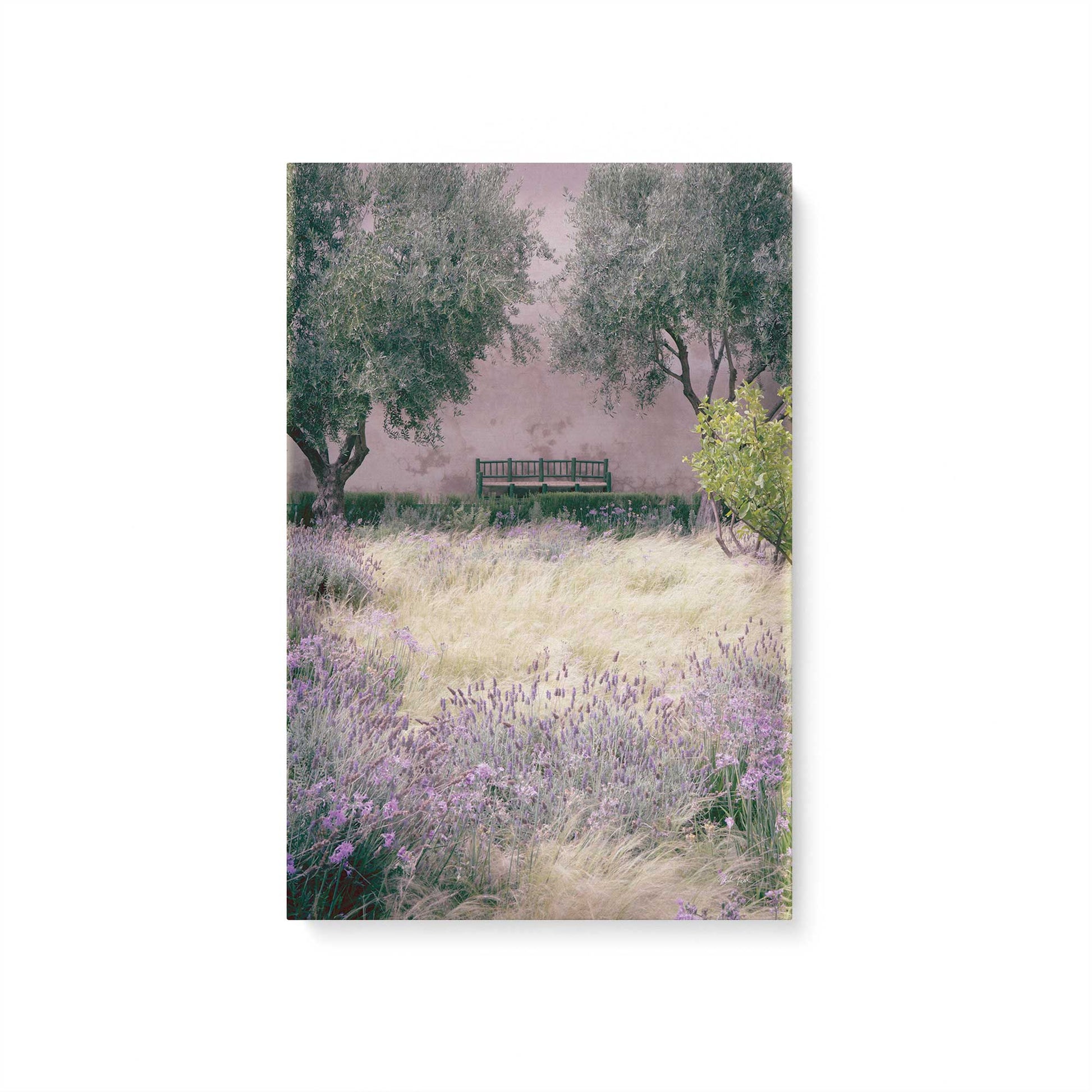 [Color:Stretched Canvas], Picture of art