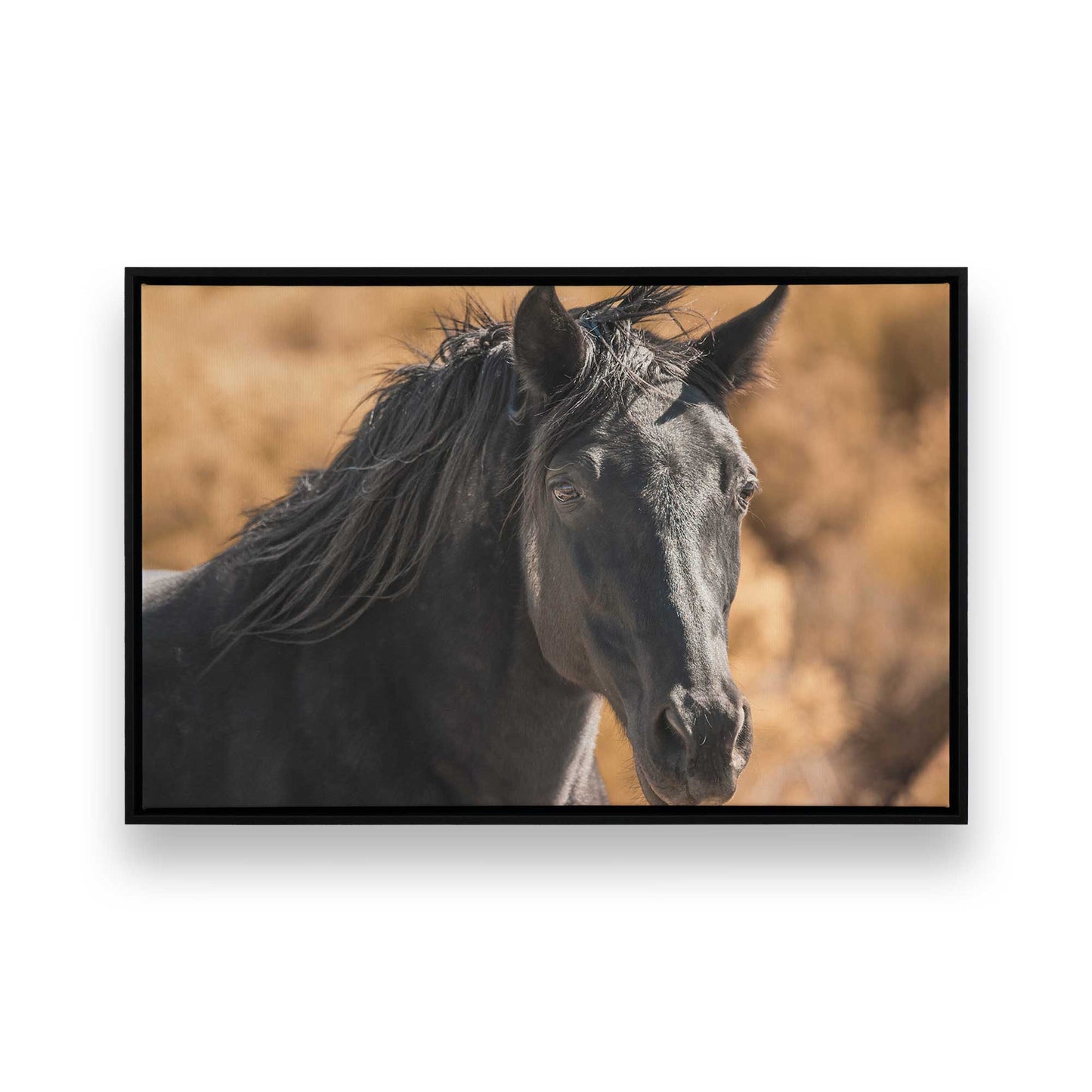 [Color:Satin Black], Front of the art