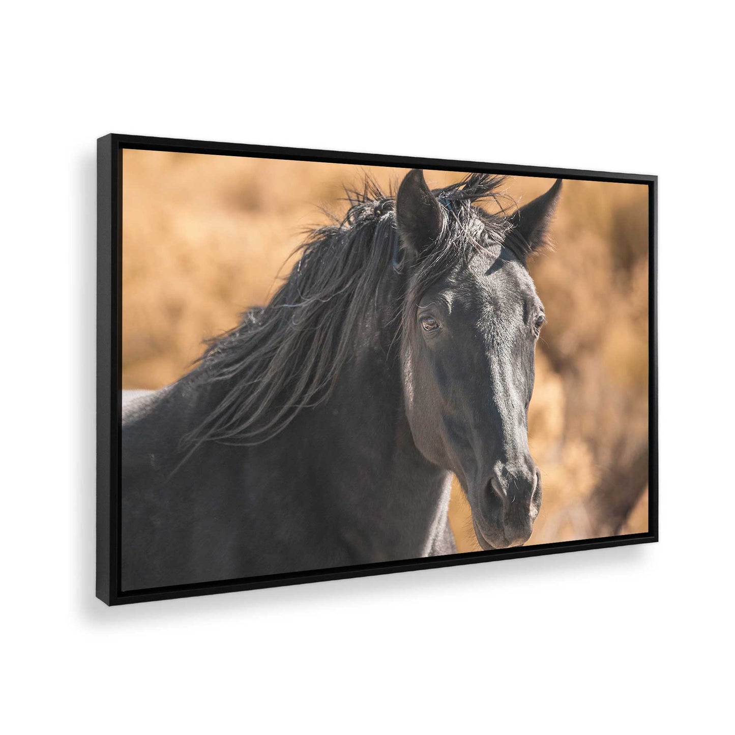 [Color:Satin Black], Picture of the corner of the art