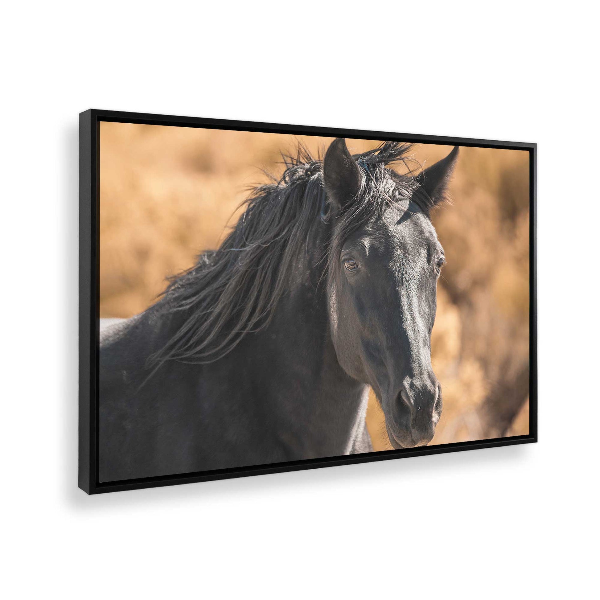 [Color:Satin Black], Picture of the corner of the art