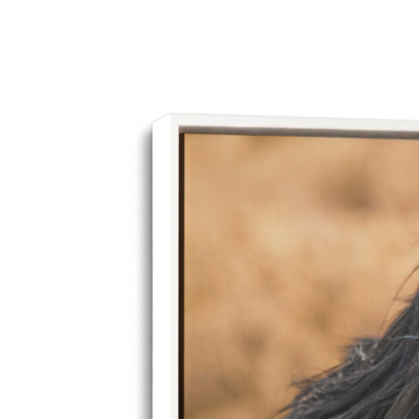 [Color:Opaque White], Picture of art in a White frame at an angle