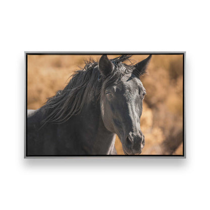 [Color:Polished Chrome], Picture of art in a Polished Chrome frame