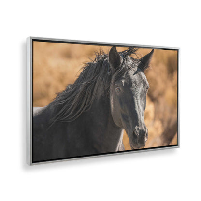 [Color:Polished Chrome], Picture of the corner of the art