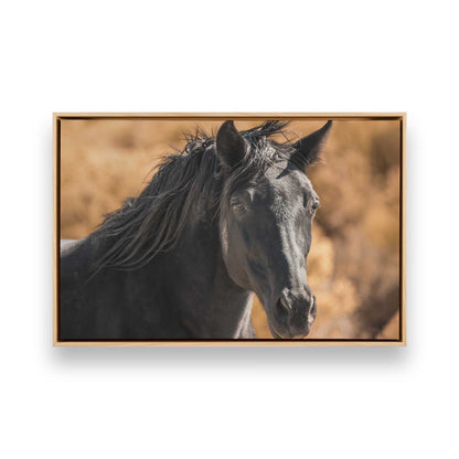 [Color:American Maple], Picture of art in a American Maple frame