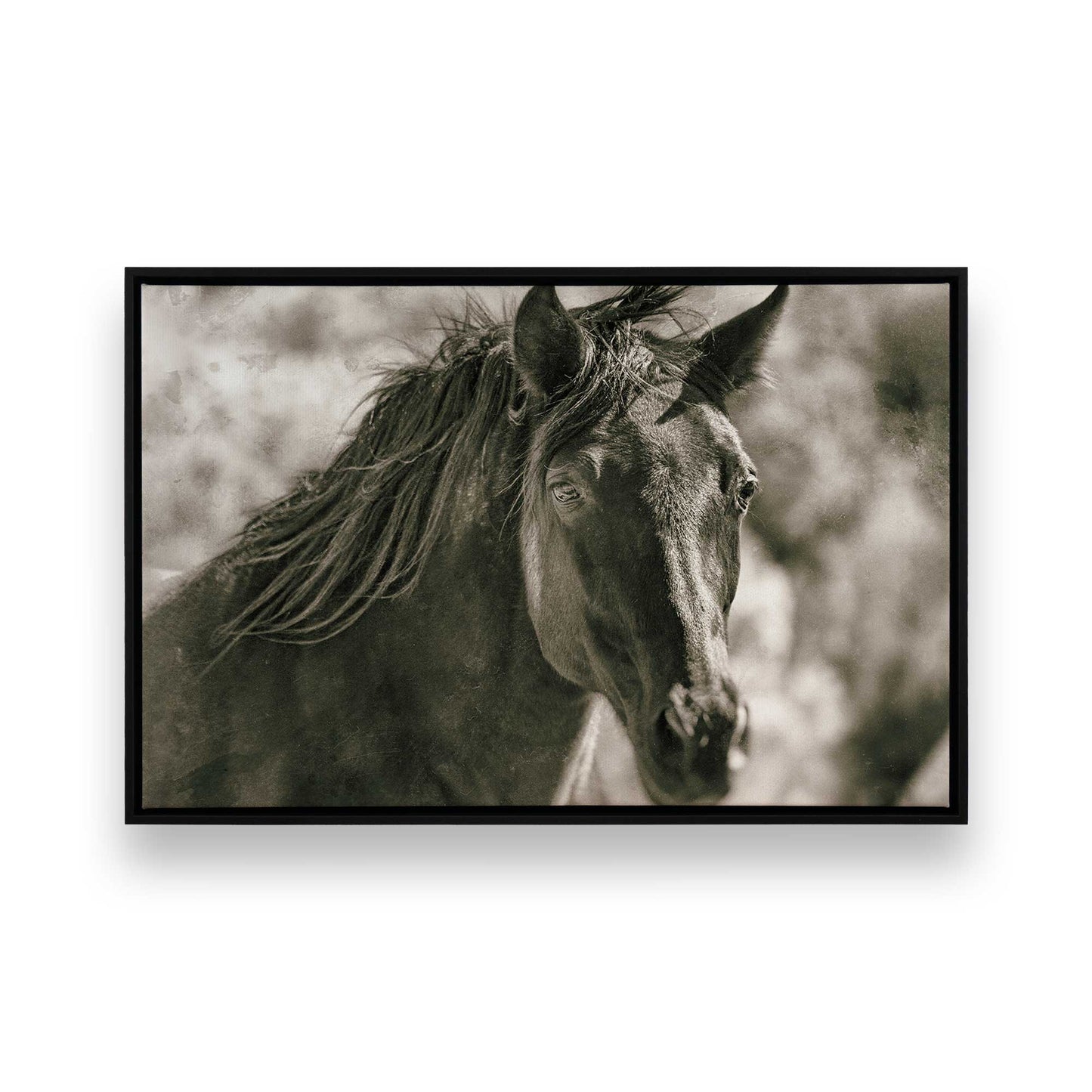 [Color:Satin Black], Picture of art in a Satin Black frame