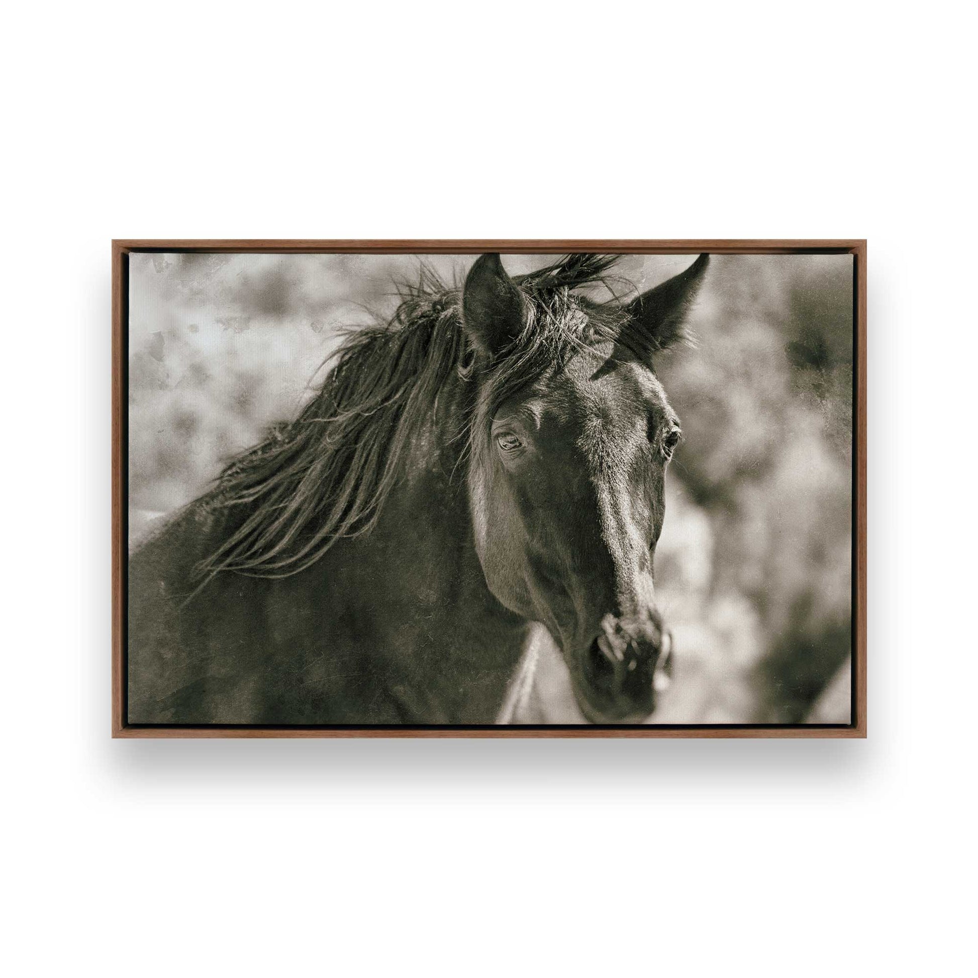 [Color:Walnut], Picture of art in a Walnut frame