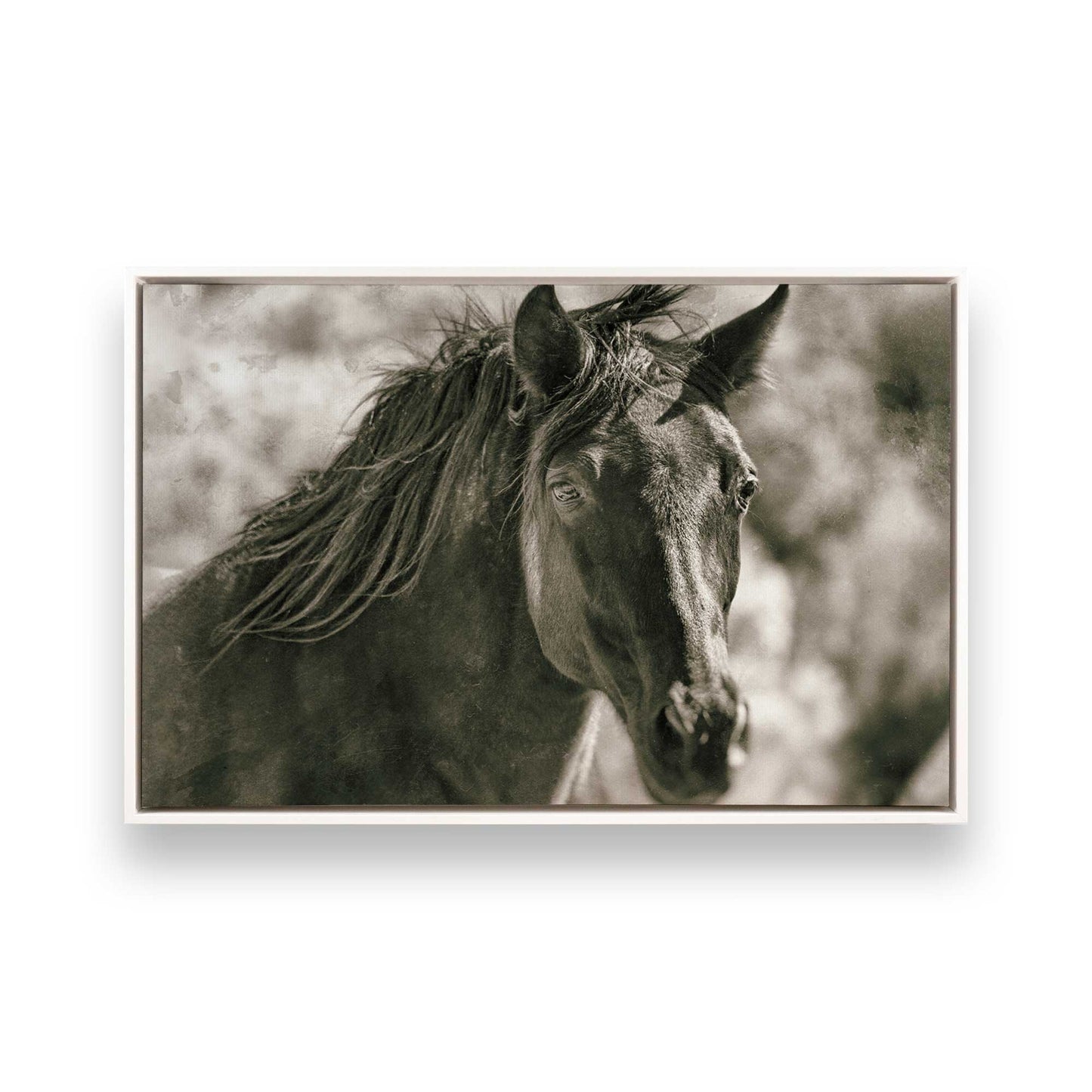[Color:Opaque White], Picture of art in a White frame