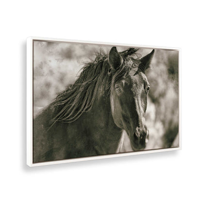 [Color:Opaque White], Picture of the corner of the art