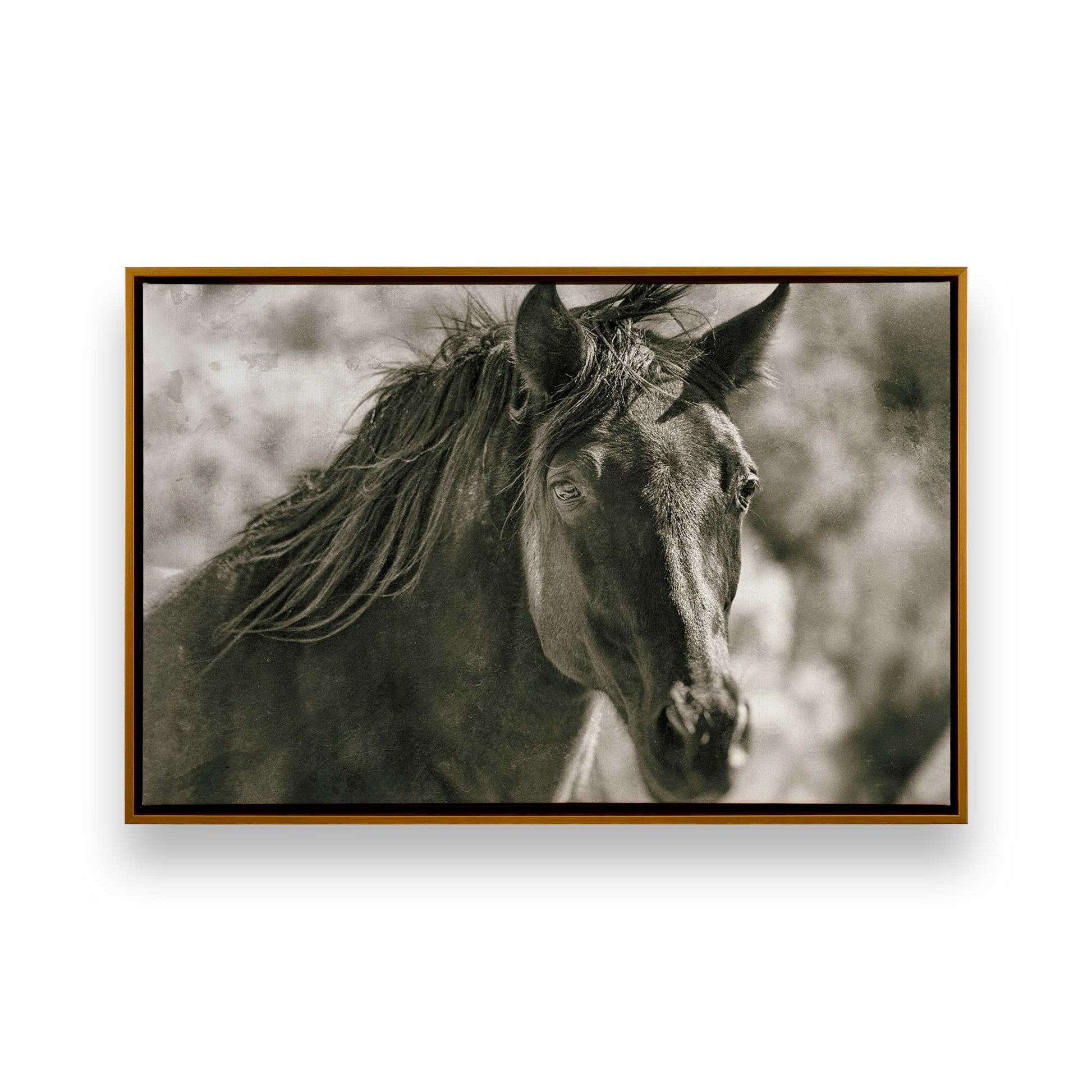 [Color:Polished Gold], Picture of art in a Polished Gold frame