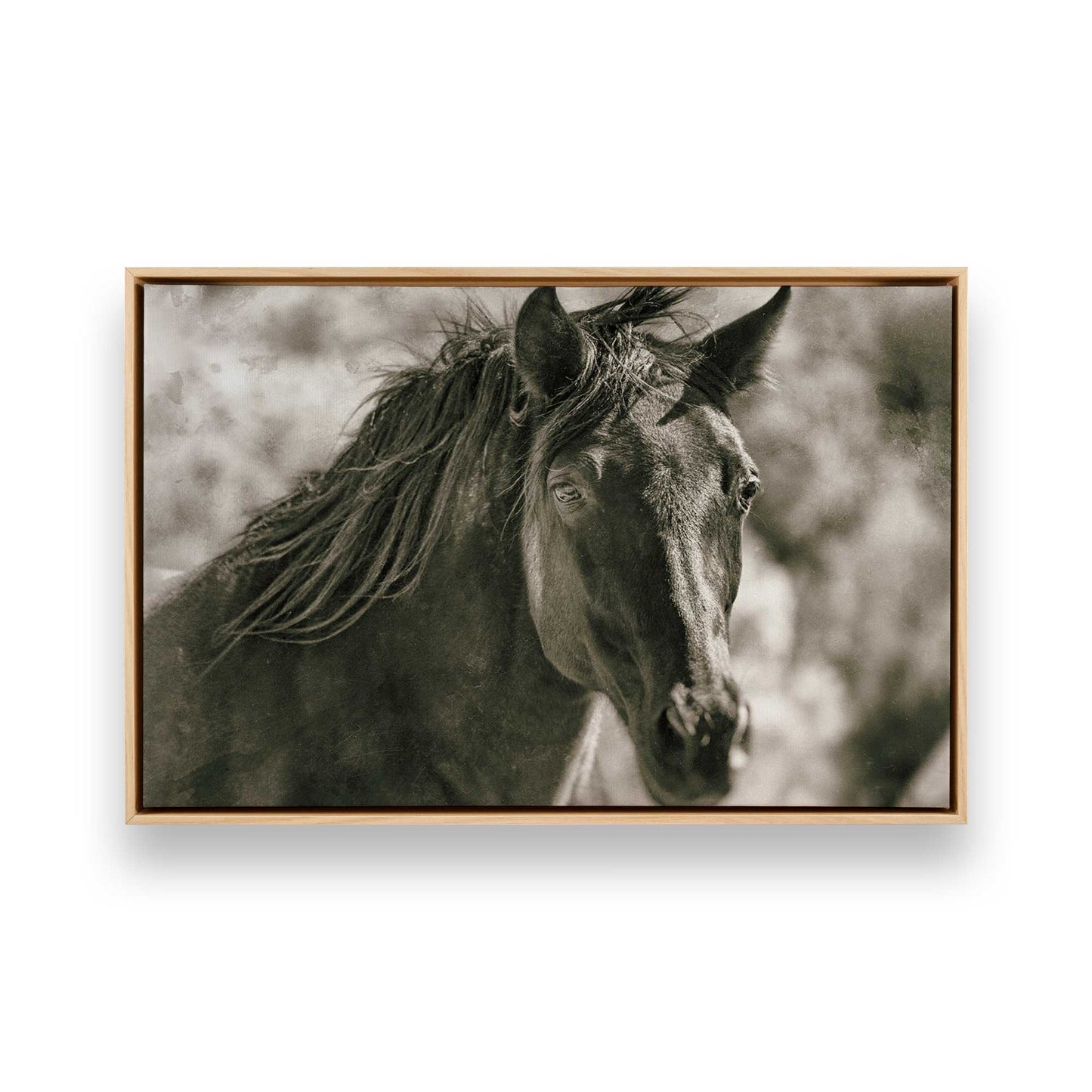 [Color:American Maple], Picture of art in a American Maple frame